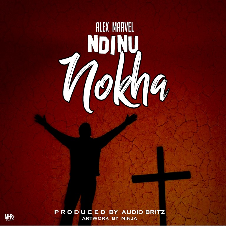 Ndinu Nokha